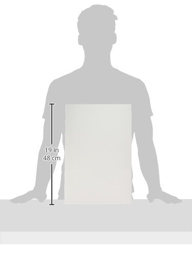 Canson 100516254 Mixed Media Paper, XL Series, 12" x 18" Size, White