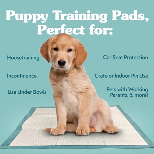 Simple Solution Training Puppy Pads | Extra Large, 6 Layer Dog Pee Pads, Absorbs Up to 7 Cups of Liquid | 28x30 Inches, 50 Count