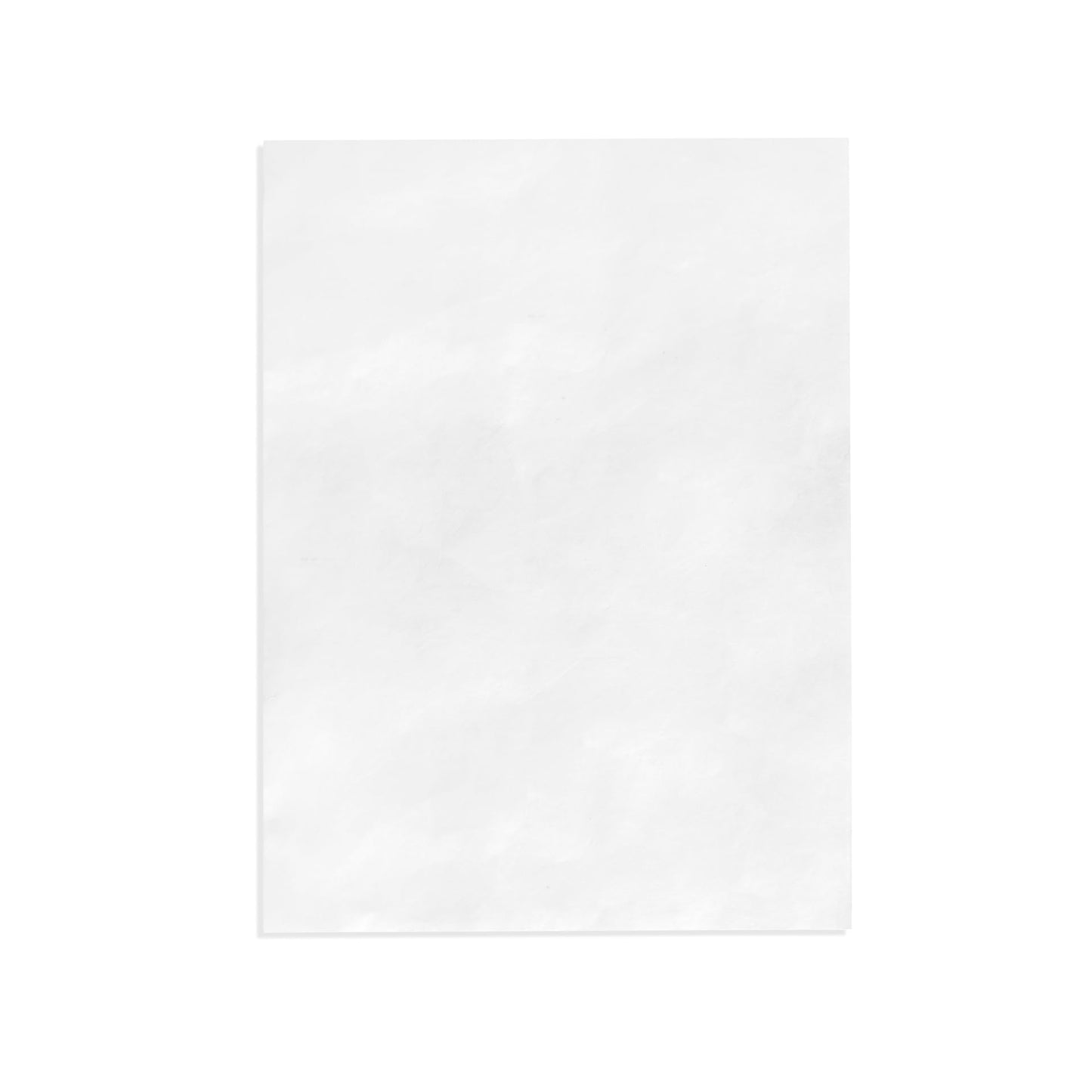 100 9x12 Tyvek Envelopes, Self Seal 9 x 12 Catalog Mailer, Ultra Strong 14lb Tear Resistant Material, Designed for Secure Mailing, Strong Peel and Seal Flap, 100 Envelopes