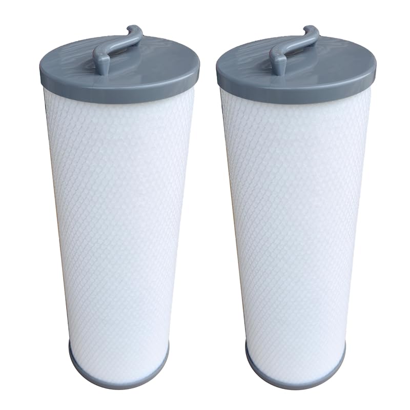 Malaka Spa Filter Cartridge FD4001G Compatible with 006541 Silver Sentinel 900011 RD800-2120 PP6541, 2 inch/ 4.9cm Female Thread, 2-Pack