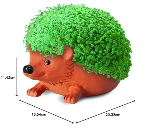 Chia CP438-01 Pet Hedgehog Decorative Pottery Planter, Easy to Do and Fun to Grow