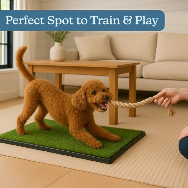 Artificial Grass Puppy Pee Pad for Dogs and Small Pets - 16x20 Reusable 3-Layer Training Potty Pad with Tray - Dog Housebreaking Supplies by PETMAKER