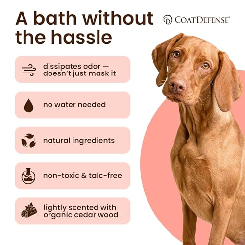 COAT DEFENSE Daily Preventative Powder - 9 oz. Precision Point