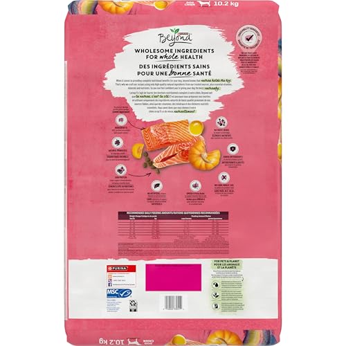 Beyond Superfood Blend Natural Dry Dog Food, Wild Caught Salmon, Egg & Pumpkin - 10.2 kg Bag