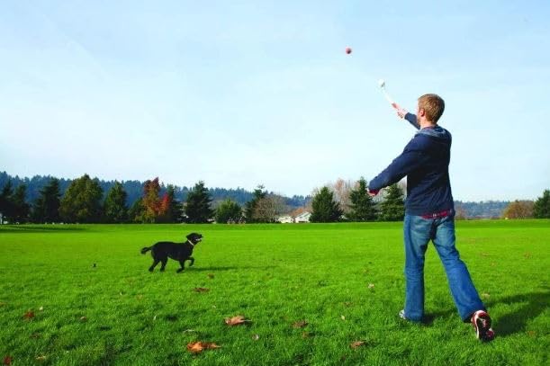 Chuckit 26-Inch Pro Ball Launcher for Larger Dogs, X-Large