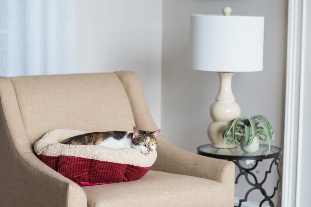 Aspen Pet 80135 Self Warming Cat Bed, 19-Inch, Warm Spice with Creme