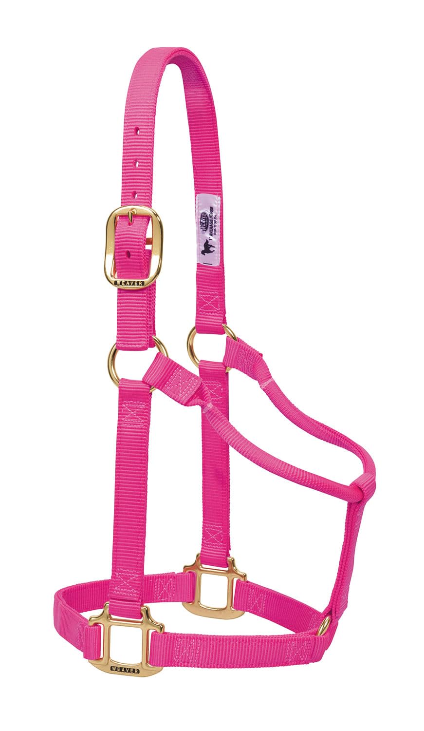 Weaver Leather Original Non-Adjustable Halter, Diva Pink, Medium