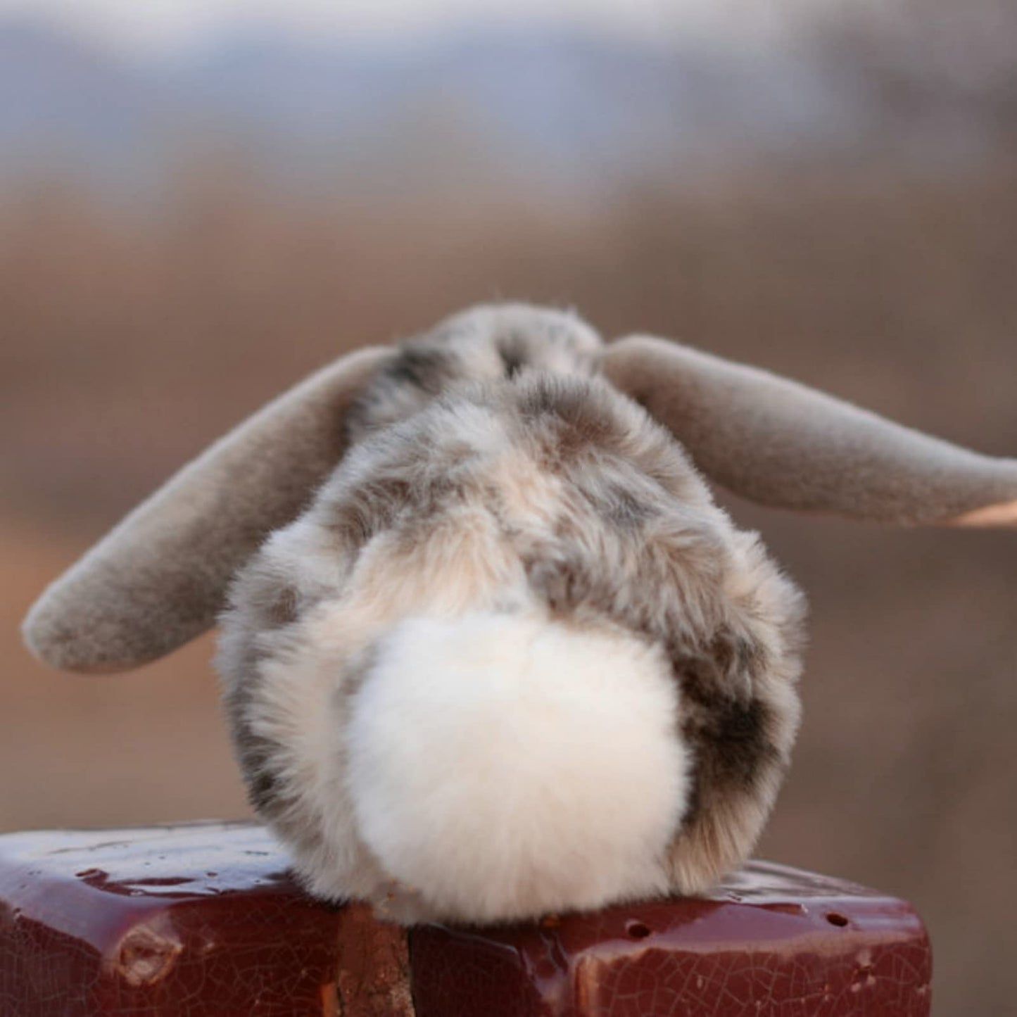 Realistic Rabbit Stuffed Animal-Gray 10.62",Rabbit Plush Toy, Rabbit Stuffed Animal,Soft Toy for Boy,Girl Toys,Gifts for Kids, Home Decor,Hugging Toy