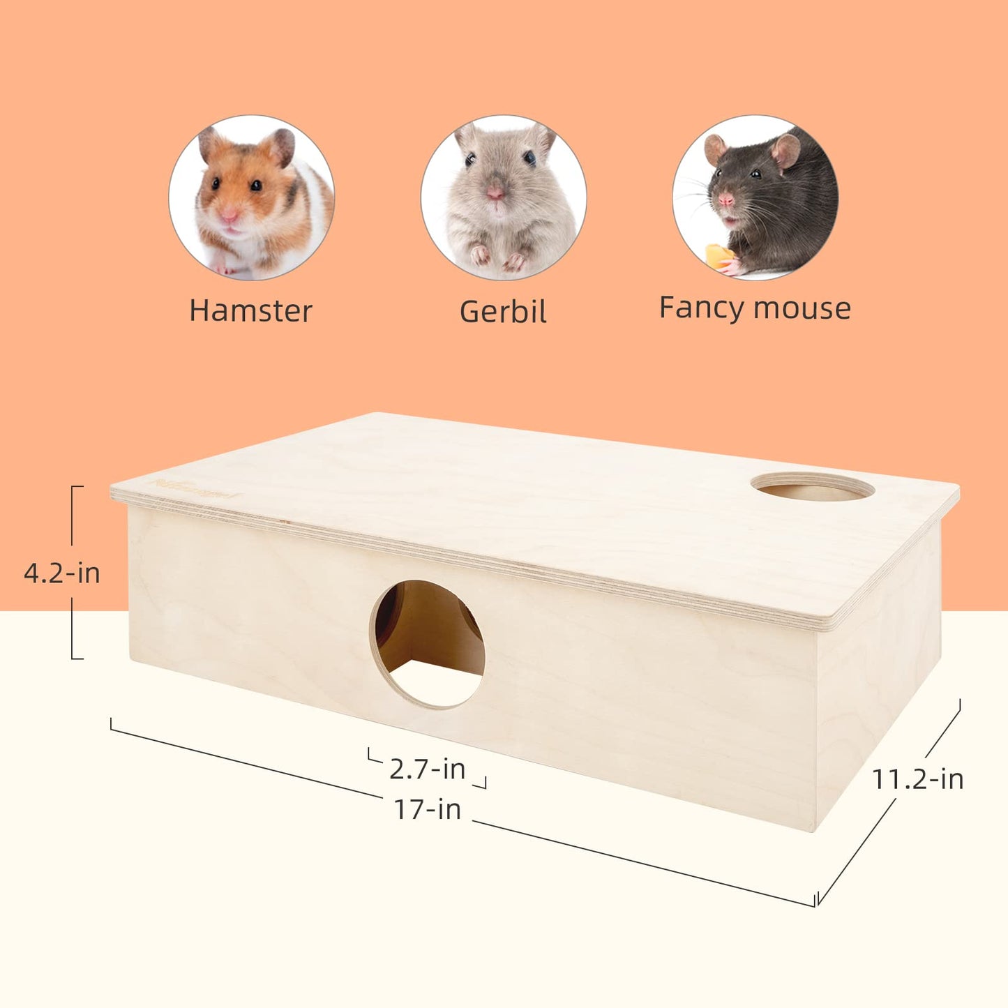 Niteangel Multi-Chamber Hamster House Maze - Multi-Room Hideouts & Tunnel Exploring Toys for Hamster Gerbils Mice Lemmings (6-Room Large)