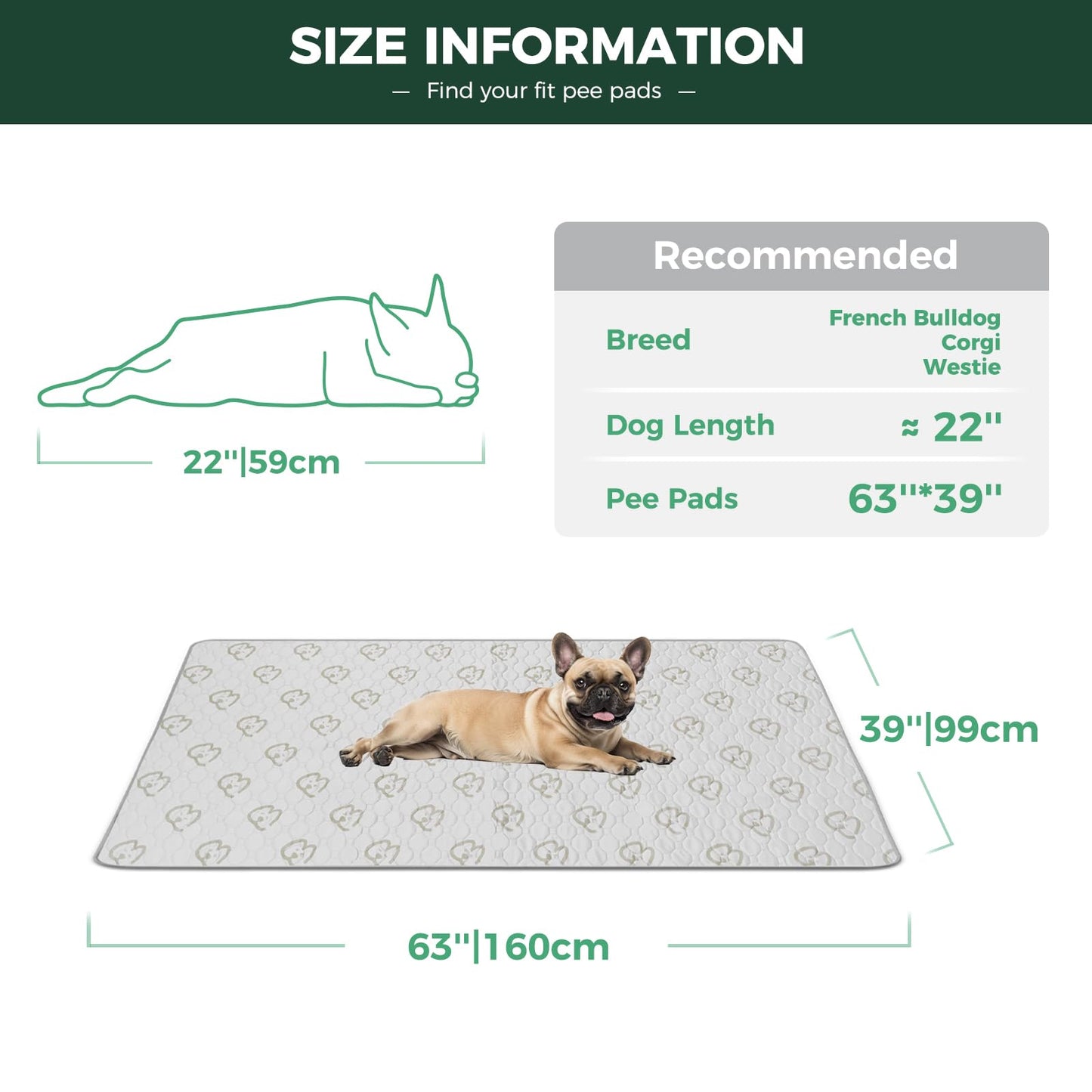 FXW Washable Pee Pads for Dogs(Playpen not Included), 63"" x 39"" Puppy Pads with Super Absorbent, Specifically Designed for 24inch 6 Panels Dog Playpen, Rectangle, Khaki