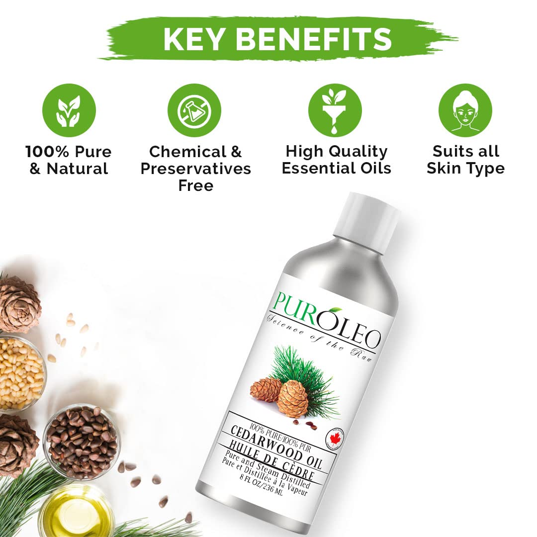 PUROLEO Cedarwood Essential Oil 8 Fl Oz/236 ML (Packed In Canada) 100% Pure & Natural Cedarwood Oil for Aromatherapy, Relaxation, and Skin Care - Therapeutic Grade Cedarwood Oil for Diffuser