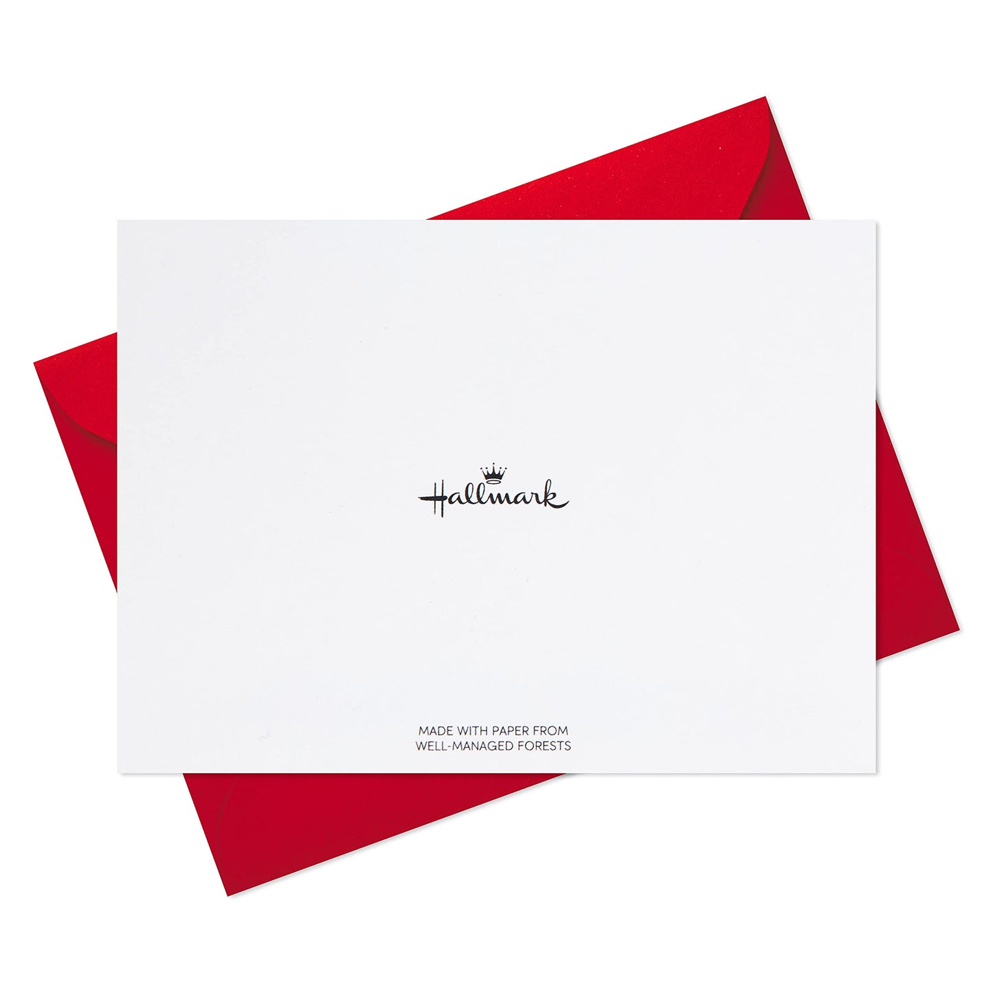 Hallmark Blank Cards, Boxed Christmas Cards Assortment (Christmas Lights & Presents, 24 Cards and Envelopes)
