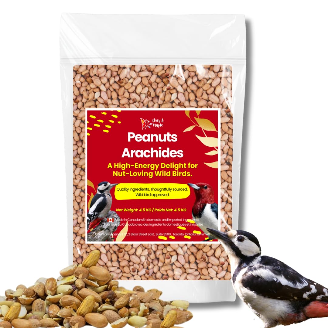 Chirp & Maple, No Shell Peanuts for Wild Birds - Premium Unsalted Raw Kernels, High Energy Protein Rich Bird Food for Blue Jays, Cardinals & Woodpeckers, 4.5KG (10LB) Bag