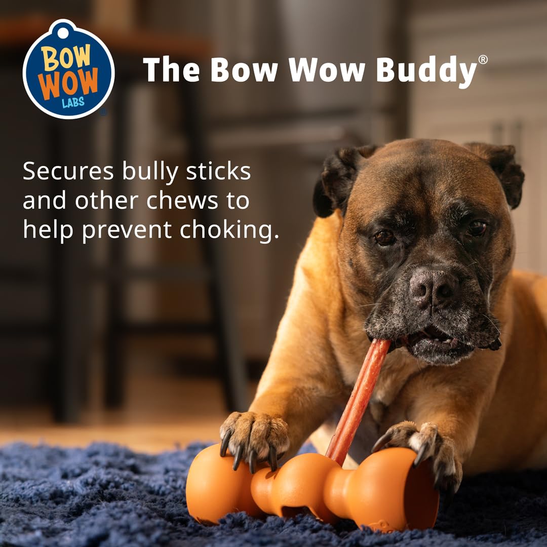 Bow Wow Labs Buddy Safety Device | Newly Redesigned Bully Stick Holder for Dogs | Made in The USA | Dishwasher Safe (M)