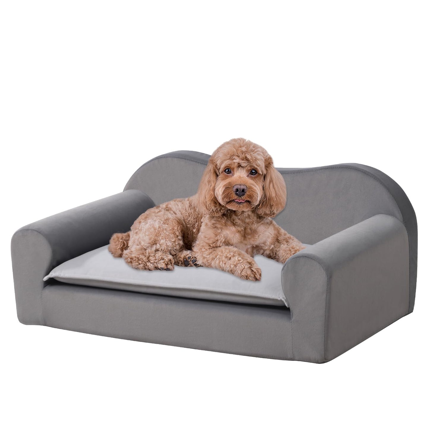 Cat Couch Bed for Indoor,Comfort Small Dog Sofa,Pet Couch for Puppy and Kitten,with Removable Washable Cover and Non-Slip Bottom (Light Grey)