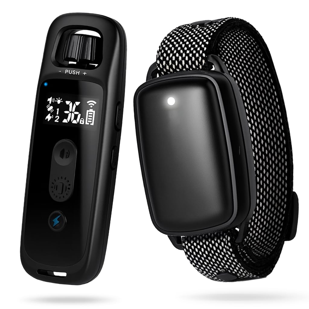 Dog Training Collar