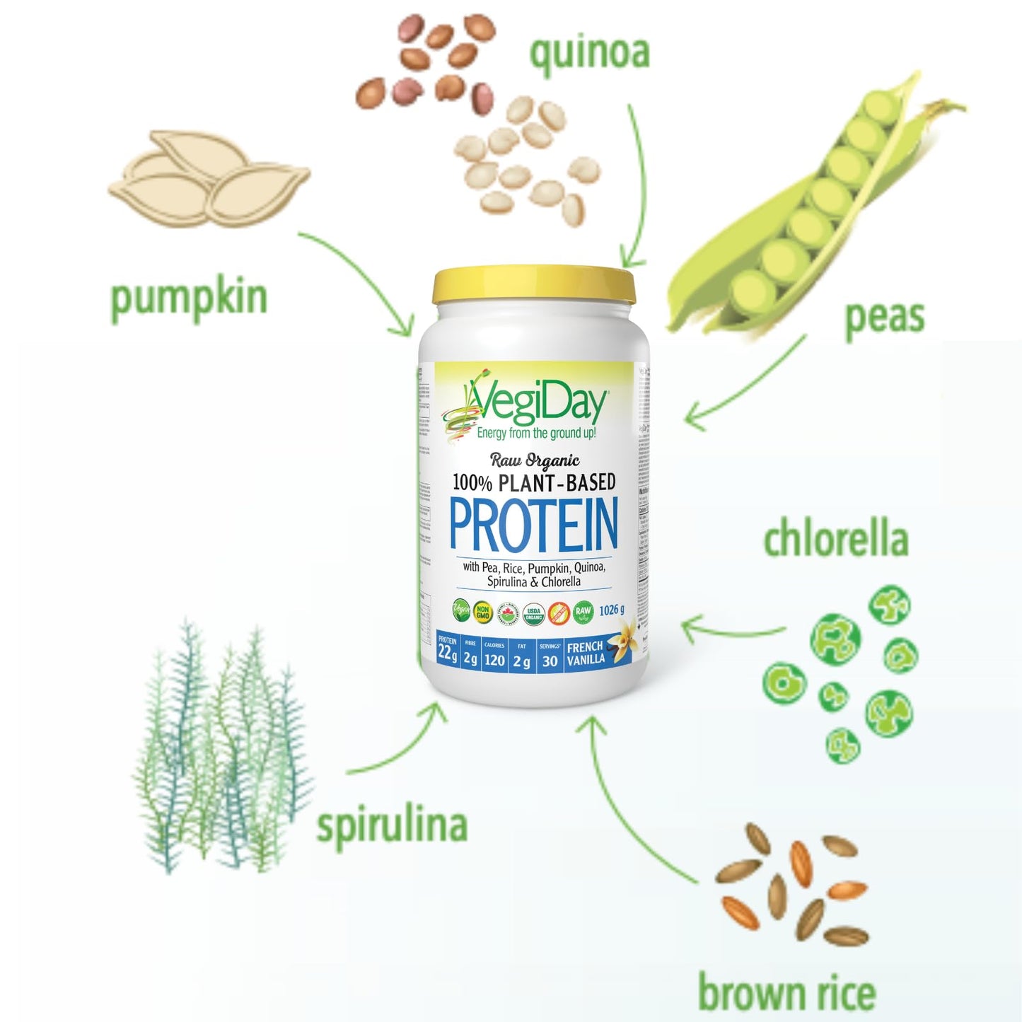 VegiDay Raw Organic Plant Based Protein 20g, French Vanilla, 1110g with Pea, Pumpkin, Chia, Quinoa, Spirulina & Chlorella