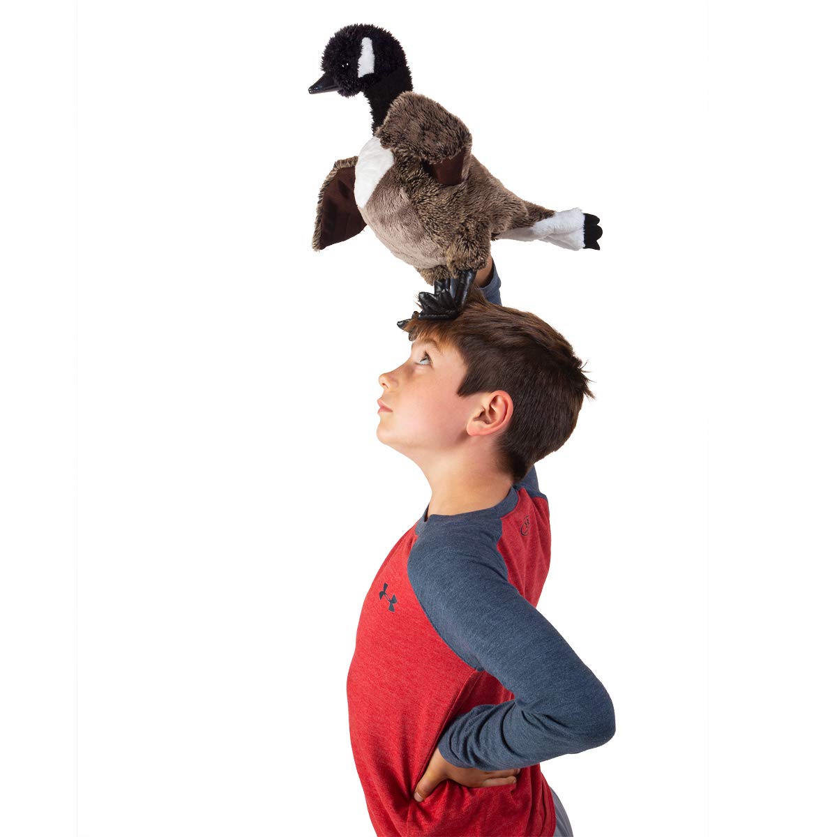 Folkmanis Canada Goose Hand Puppet, Brown, White, Black, 1 Ea