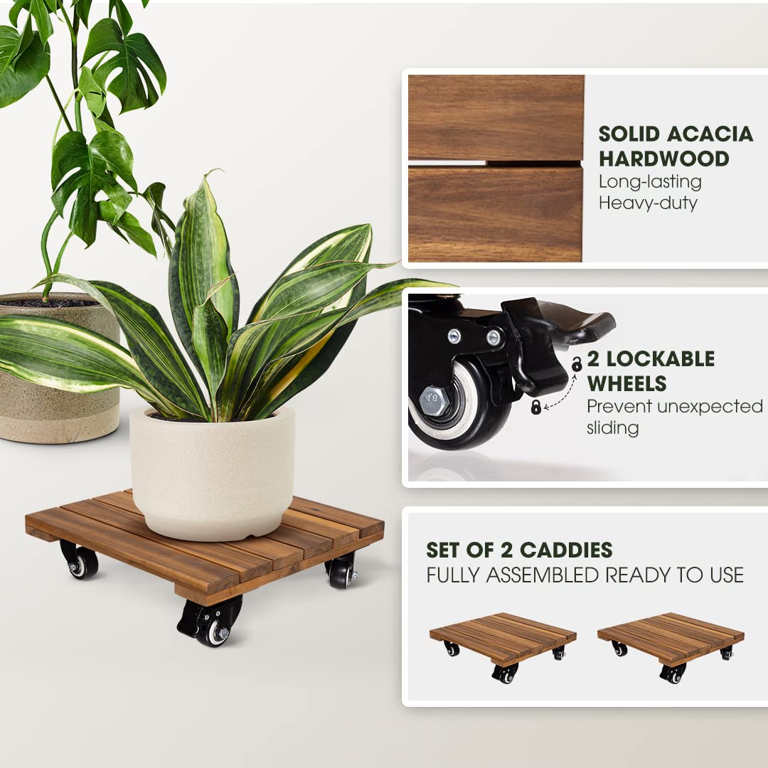 2pack Wood Plant Caddy With Wheels Heavy Duty, 264 Lbs Capacity, Upgraded 12 Inch Acacia Hardwood Plant Dolly, Plant Stand with 360° Lockable Wheels, Plant Caster for Heavy Objects Hauling - Natural
