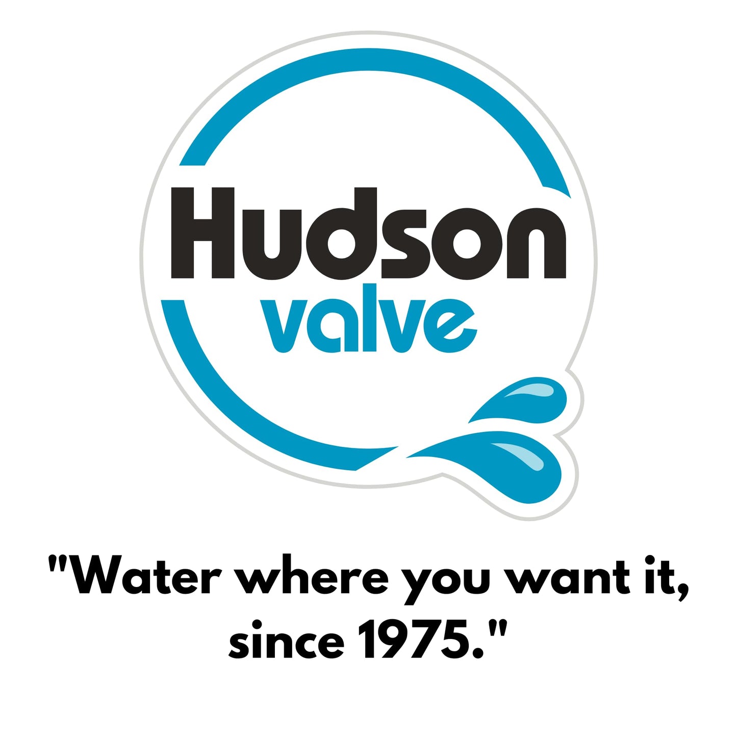 Hudson Valve V Hudson Tank Valve for Livestock
