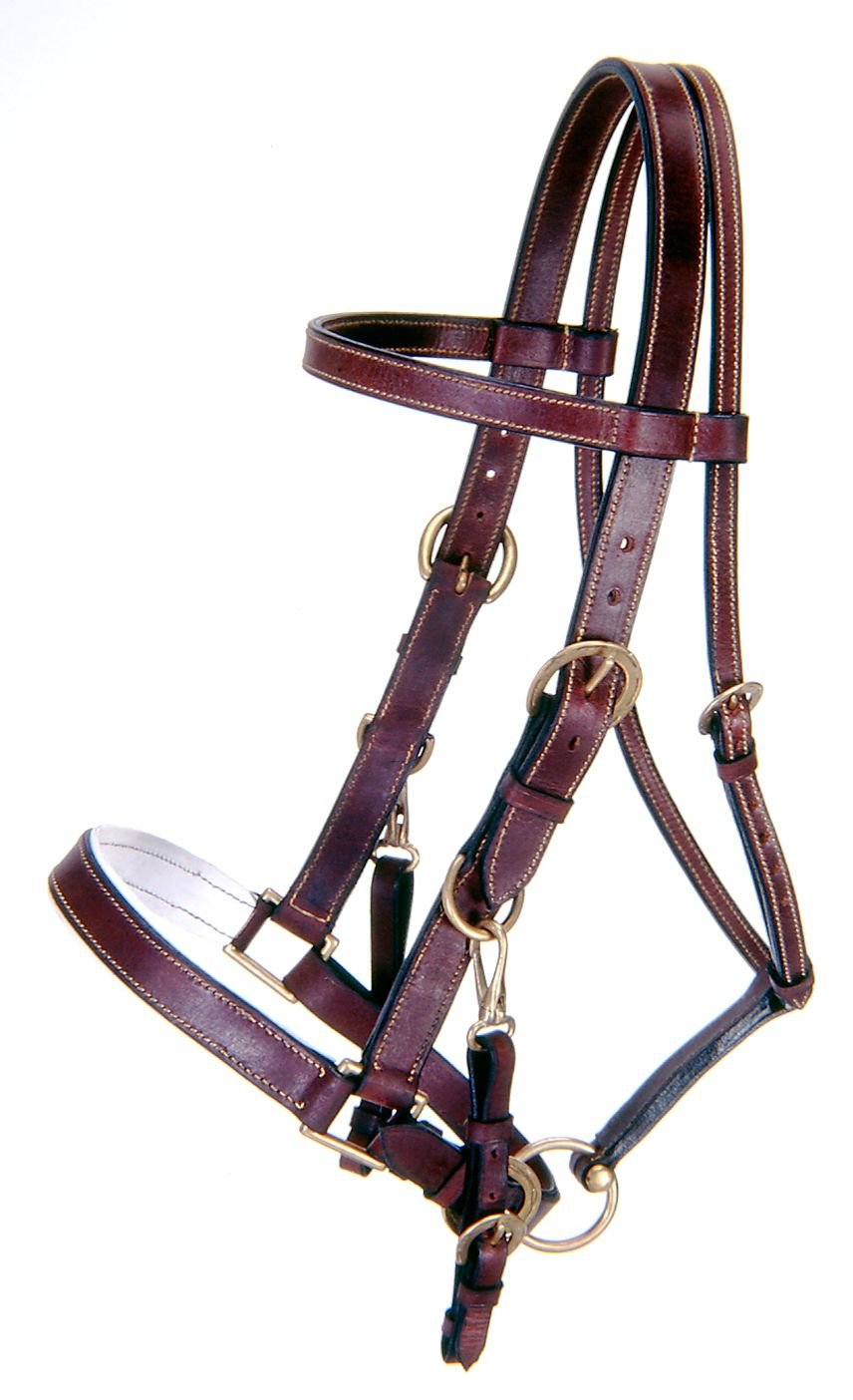 Tough 1 Australian Outrider Collection Leather Bridle/Halter, Brown