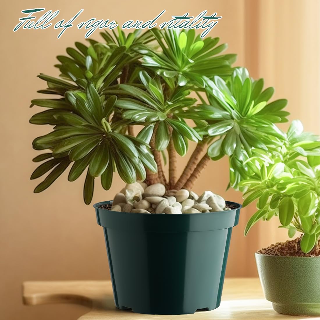 BTPLASTIK 8 Inch Plastic Plant Pots, 15 Pack Sturdy Nursery Pots with Drainage Holes, Flower Planter Pots for Indoor Outdoor, Garden Containers Sets for Vegetable Herbs Flowers, Green