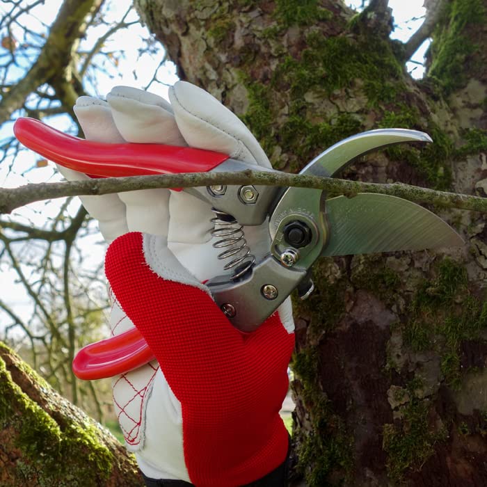 ARS ARS-VS-8Z Signature Heavy Duty Pruner