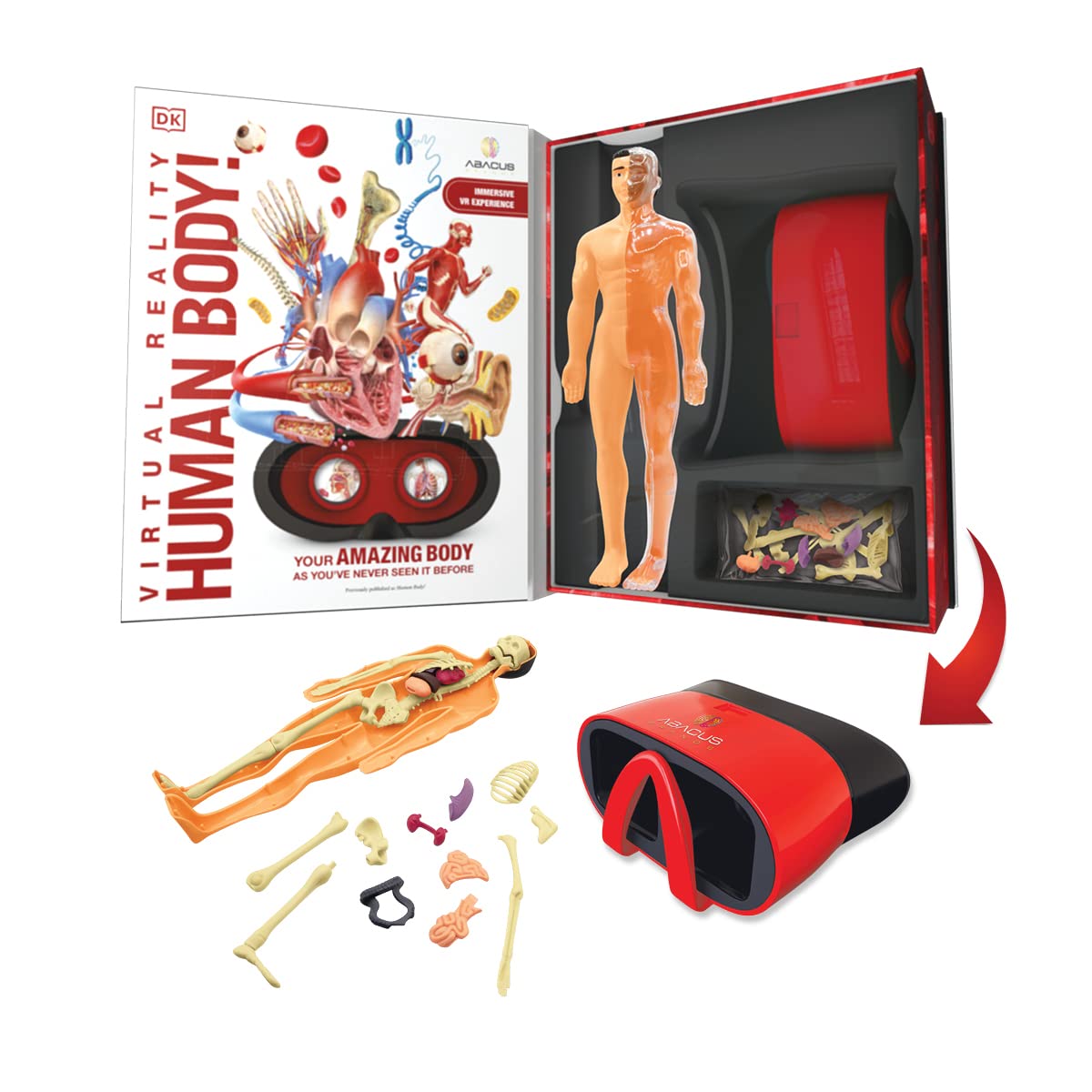 Abacus Brands Virtual Reality Human Body - Illustrated Interactive VR Book and STEM Learning Activity Set