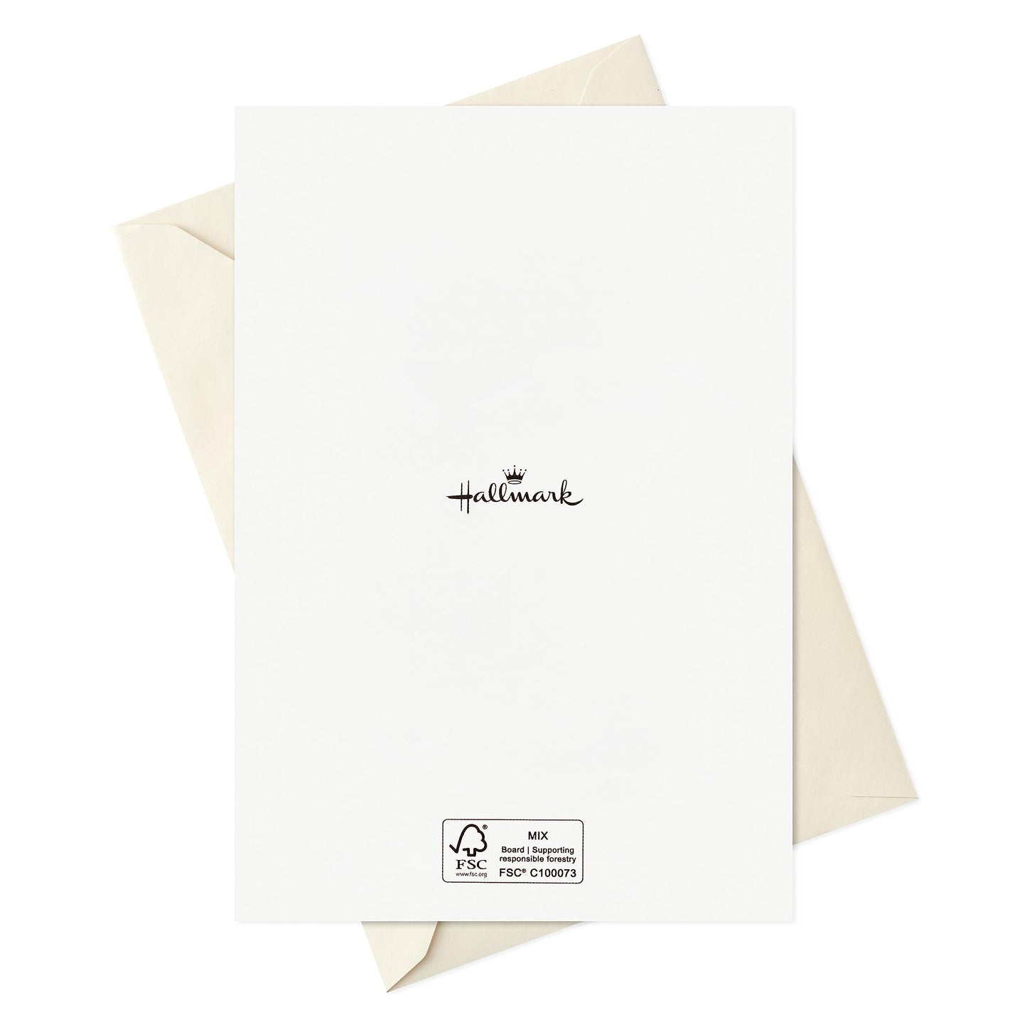 Hallmark Bulk Boxed Christmas Card Assortment, Elegant Jewel-Tone Floral Assortment (72 Cards and Envelopes)