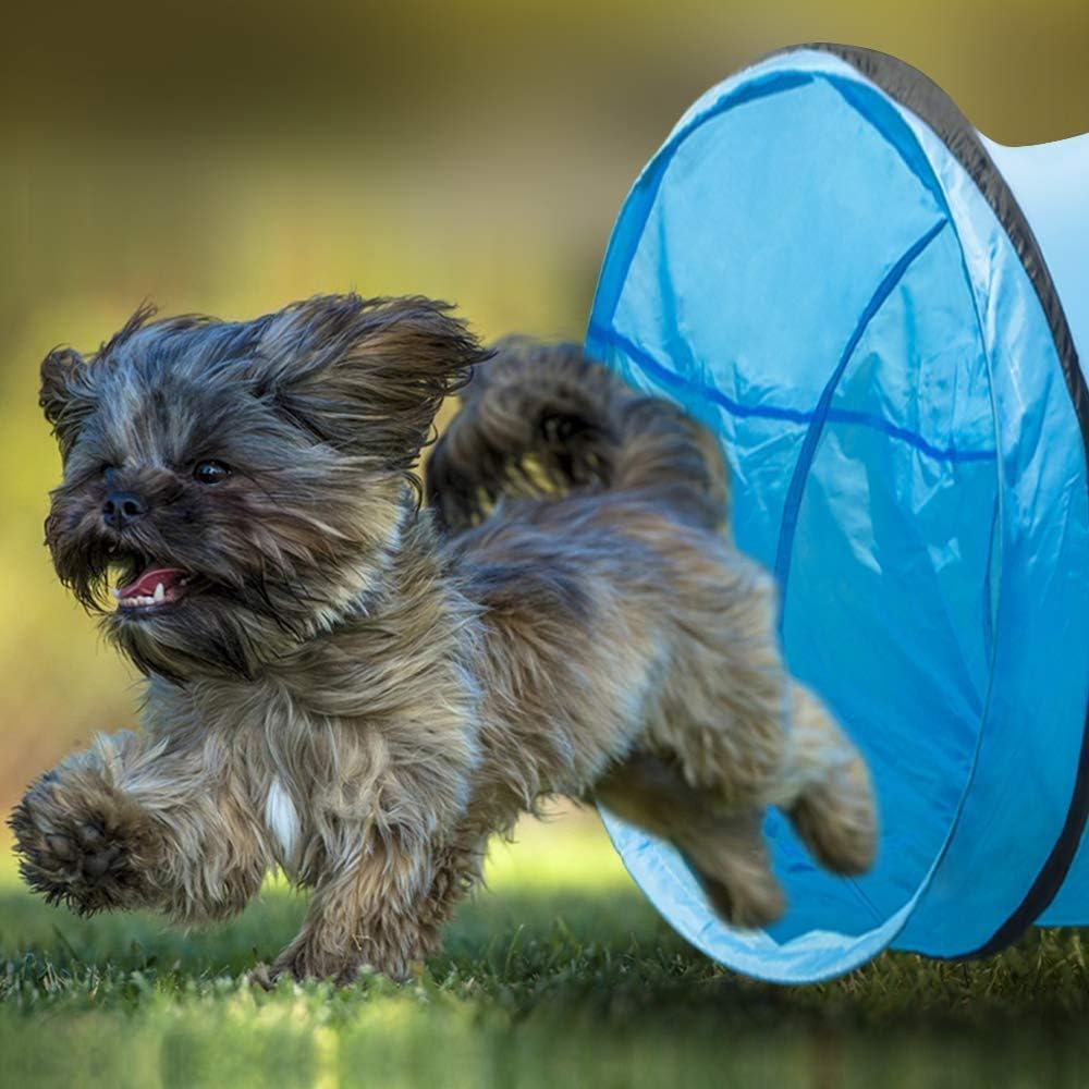 NBYTLT 16.2 FT Premium Dog Agility Tunnel with Bags, Outdoor Training Tunnel with 24" Wide Opening, Portable Dog Agility Equipment, Perfect for Most Sized Dogs, Blue