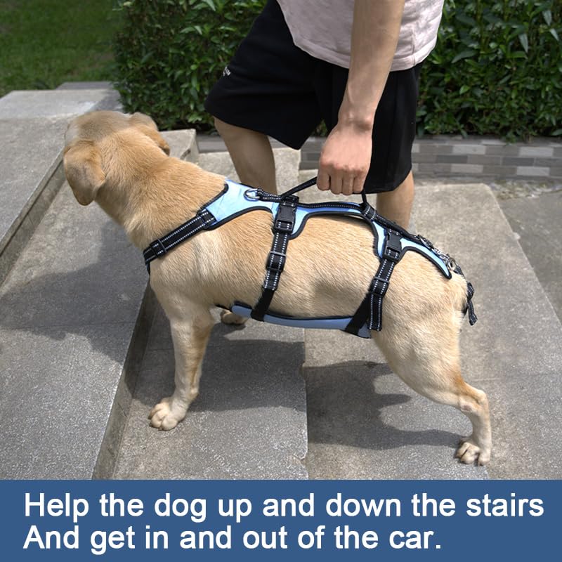 Coodeo Dog Lift Harness, Support & Recovery Sling, Pet Rehabilitation Lifts Vest Adjustable Breathable Straps for Old, Disabled, Joint Injuries, Arthritis, Paralysis Dogs Walk (Large)