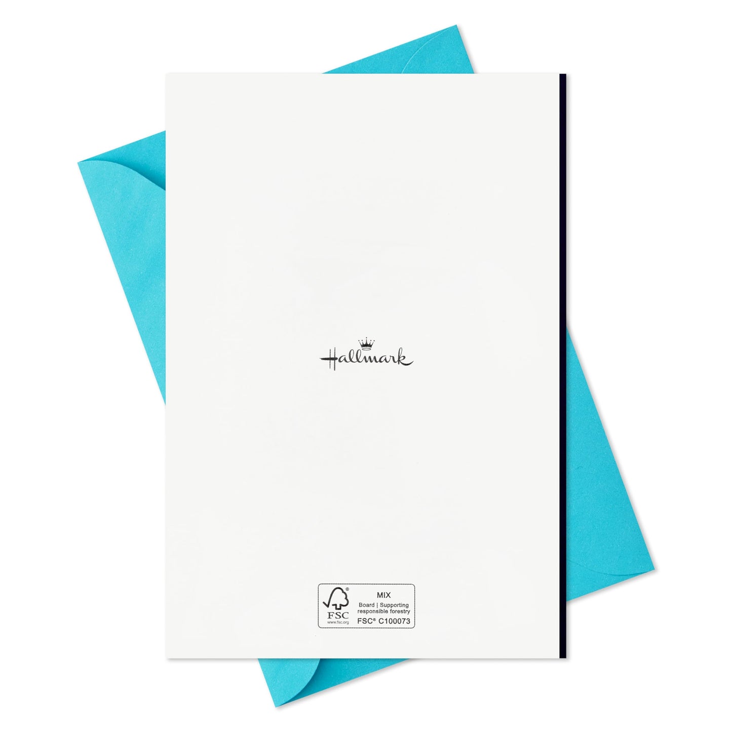 Hallmark Father's Day Card Assortment (24 Cards with Envelopes, 6 Designs)