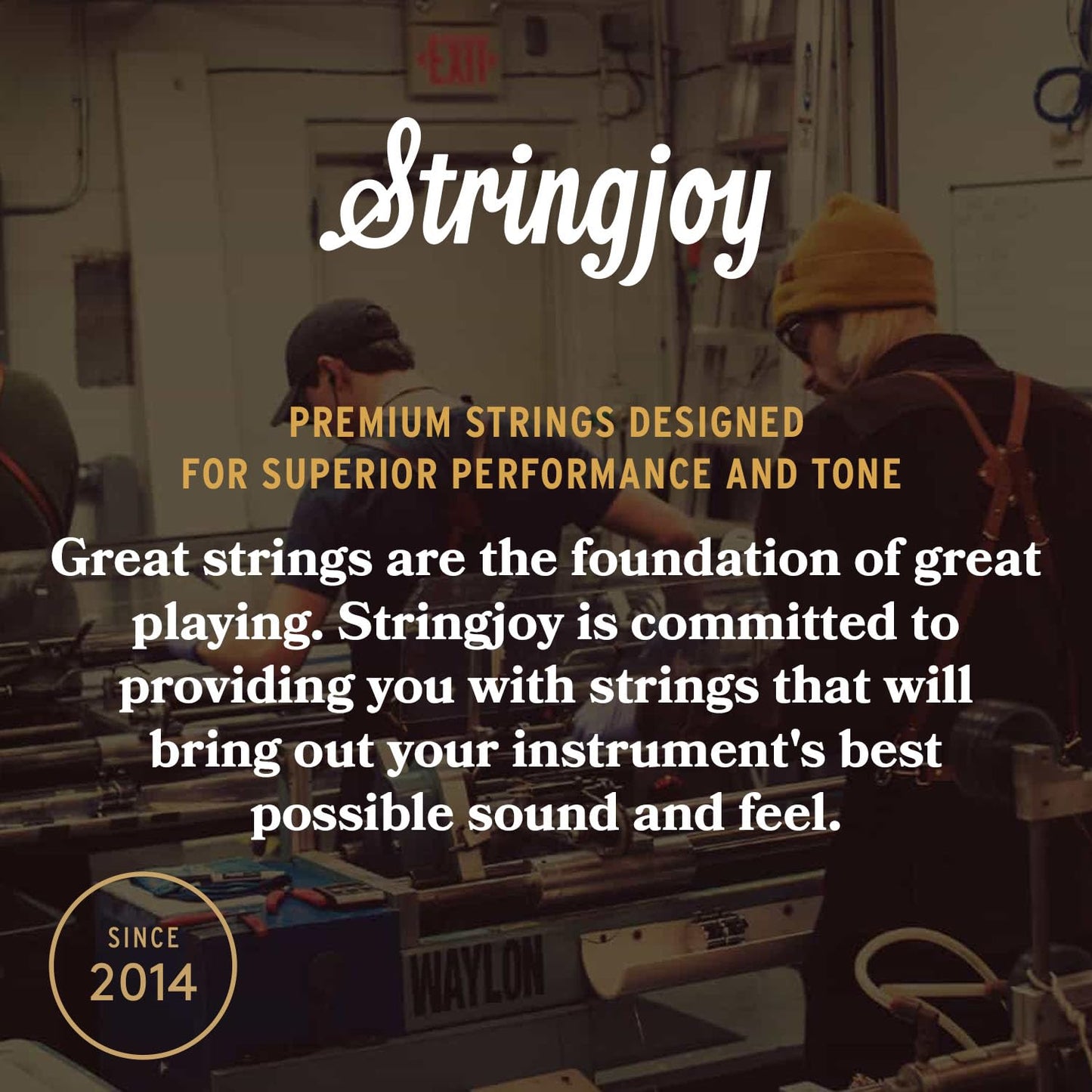 Stringjoy FW1140 Foxwoods Coated Phosphor Bronze Mandolin Strings, (Medium Gauge - 11-40)