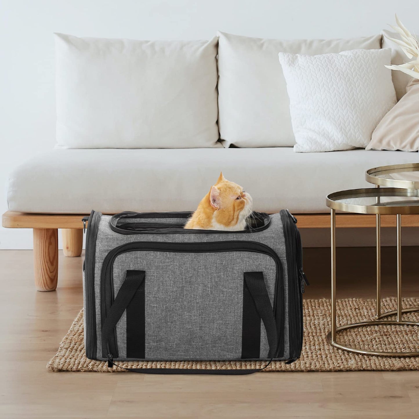 Petsfit Expandable Pet Carrier Airline Approved, Cat Carrier with Locking Zipper and Shoulder Strap, Storage Pockets, Cats, Kittens Puppies or Small Dog up to 15 Pounds,Gray M