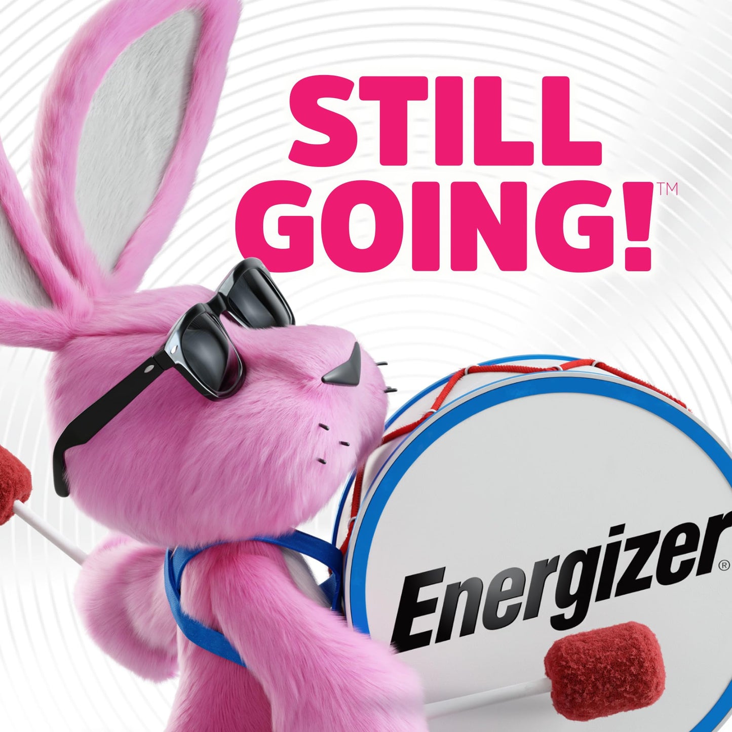 Energizer L91SBP-12 Ultimate Lithium AA Battery, 12 Count