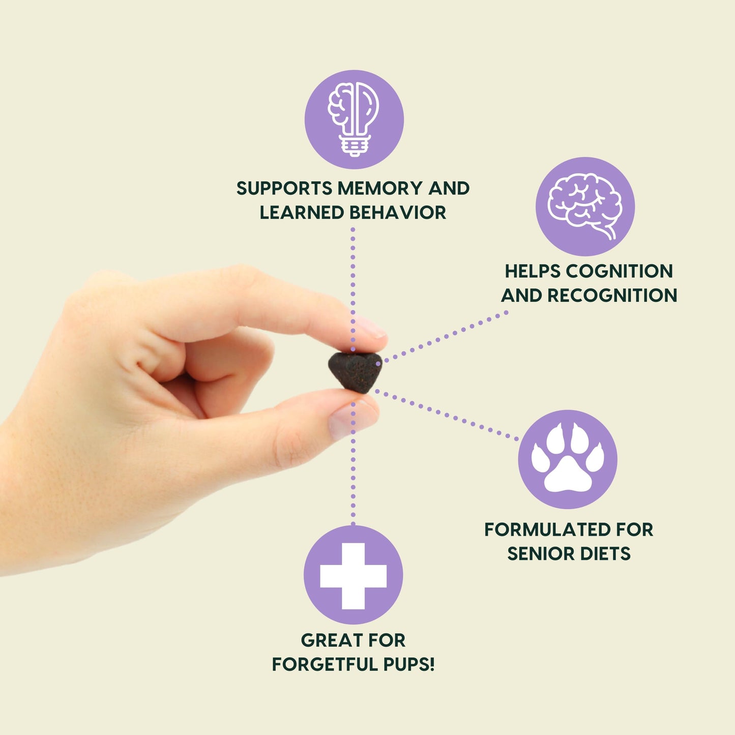 Ark Naturals Gray Muzzle Brain's Best Friend Dog Chews for Senior Dogs, Supports Cognitive Health and Enhances Brain Retention, Functional Natural Ingredients, 90 Count