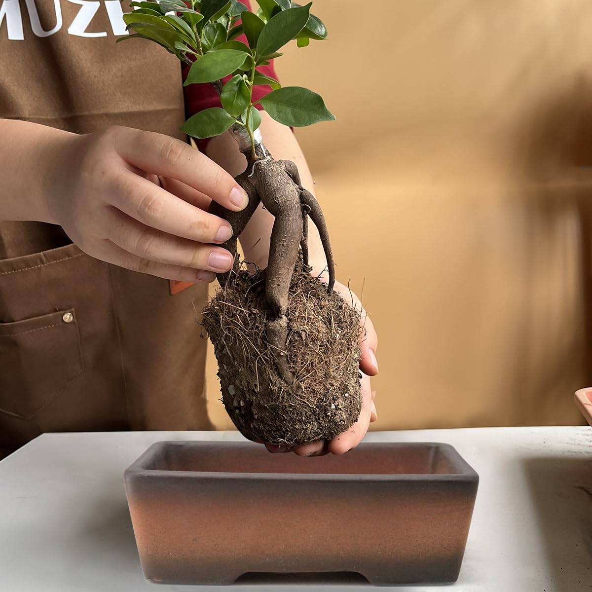 MUZHI 2 Pack Handmade Color Gradational Terracotta Bonsai Pot 6 Inch and 7 Inch with Drip Tray, Breathable Unglazed Rectangle Ceramic Planter for Tree Succulent Cactus