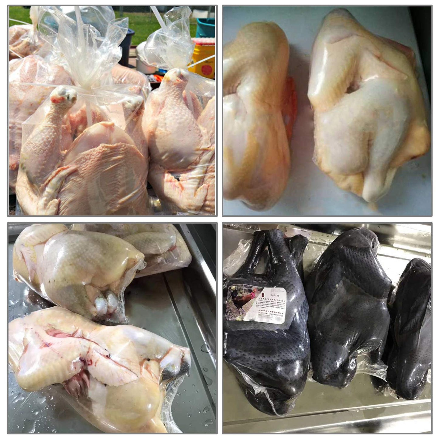 Turkey Shrink Bags,50 Pcs 14x23 Inches Clear Poultry Shrink Bags Freezer with 50 Zip Ties and a Silicone Straw for Chickens,Turkey,Rabbits