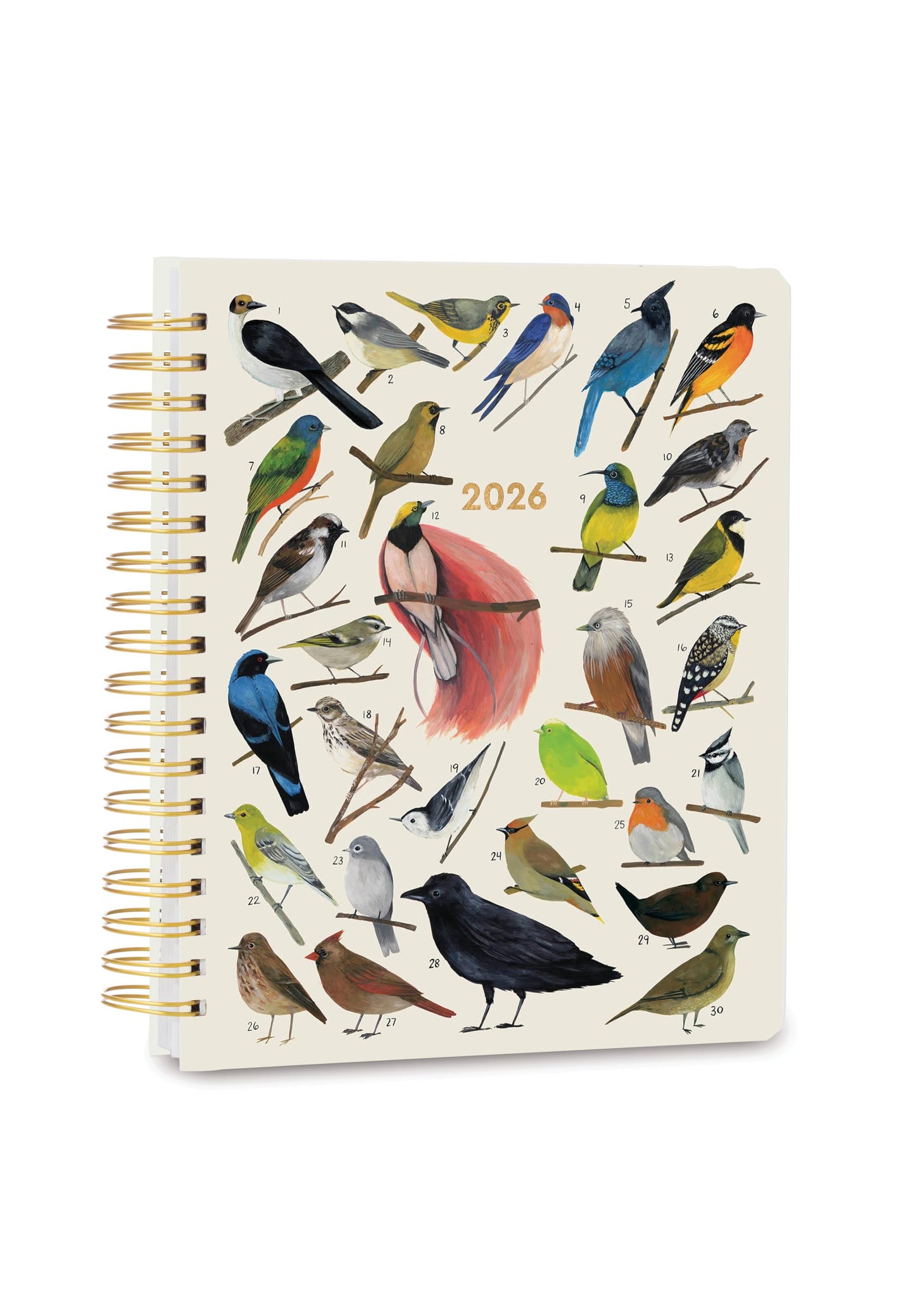High Note 2026 Planner, 12-Month Weekly & Monthly Hardcover Planner: 2026, 9" x 10", Orders of The Animals, with Goal & Project Planning Pages, Notes, Lists & Sticker Sheet