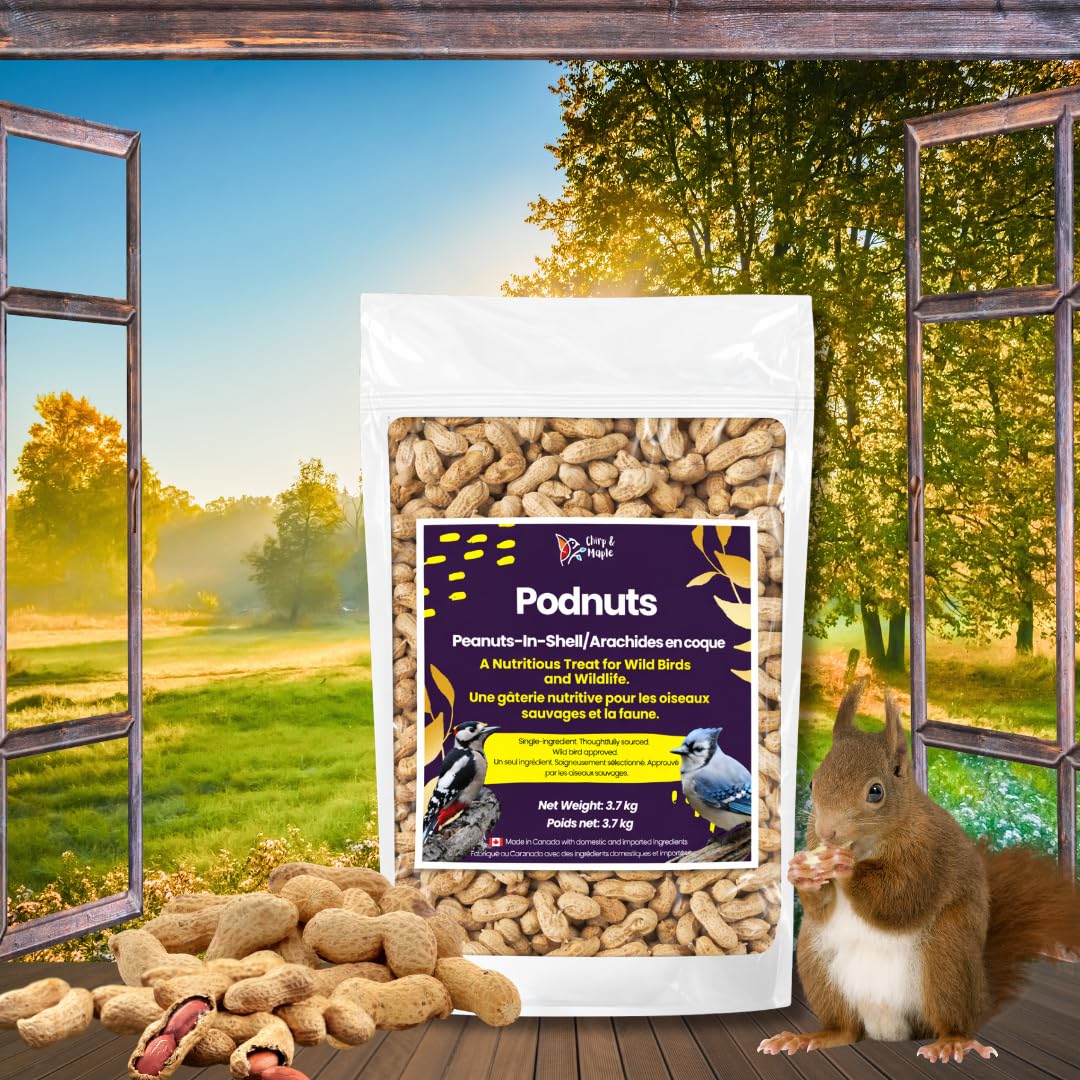 Chirp & Maple, Podnuts - Unsalted Peanuts in Shell for Wild Birds and Wildlife, Raw Unroasted, Premium Wild Bird Food 3.7KG Bag