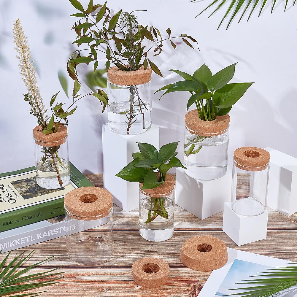 ORIGACH 12 PCS Plant Propagation Jars with Hole Lid, Two Sizes Glass Propagation Plant Vases Set for Living Room, Bedroom, Home,Office Decor, 3.3 Inch/2.6 Inch Diameter