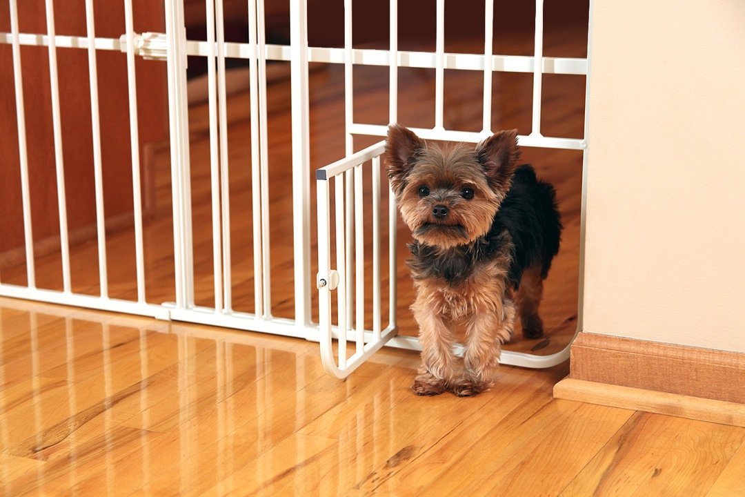 Carlson Pet Products 0618DS Mini Tuffy Metal Expandable Pet Gate