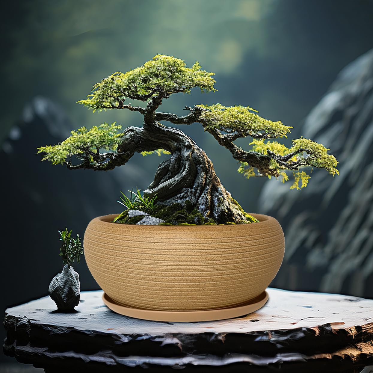 MUZHI 9.5” Round Large Ceramic Bonsai Bowl Planter,Clay Succulent Plant Pot Container with Saucer