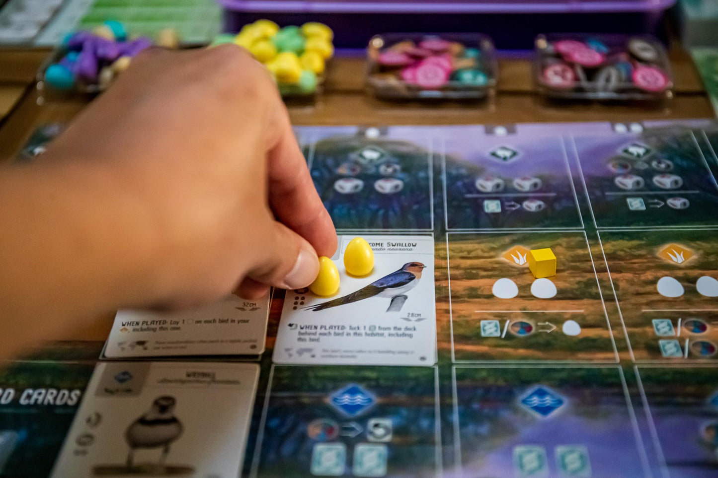 Board Game Wingspan: Oceania Expansion