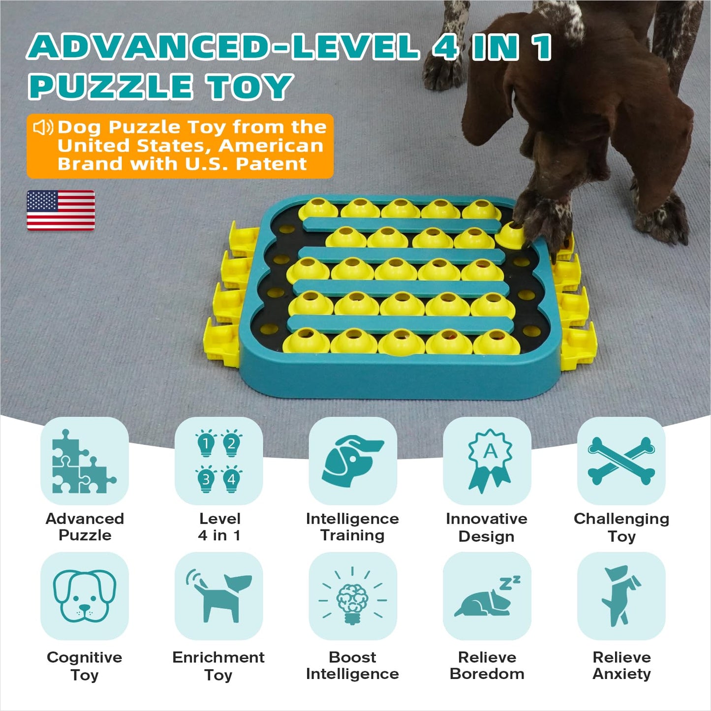 KADTC 4 Levels of Step-by-Step Challenge - U.S. Brand & Design - Extra-Large Size Beginner to Advanced Dog Puzzle Toy for Small/Medium/Large Smart Dogs Hard Puzzles Difficult Mental Stimulation Toys
