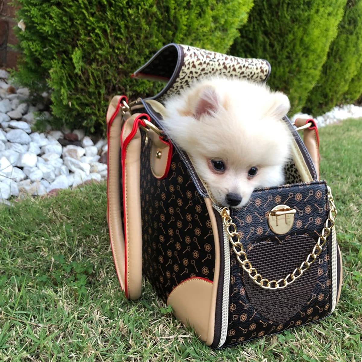 Adriene's Choice Luxury Pet Carrier Puppy Small Dog Carrier Cat Carrier Bag Waterproof Premium PU Leather Carrying Handbag for Outdoor Travel Walking Hiking Shopping
