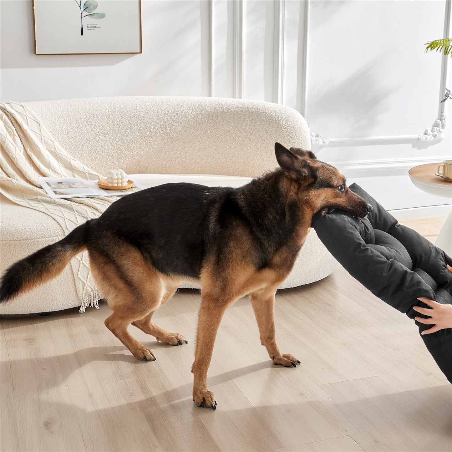 Chew Proof Indestructible Dog Bed for Aggressive Chewers Waterproof Durable Dog Crate Pad,Washable Tough Pet Mats for Kennel Machine Washable Black (Black, M-18''x29'')