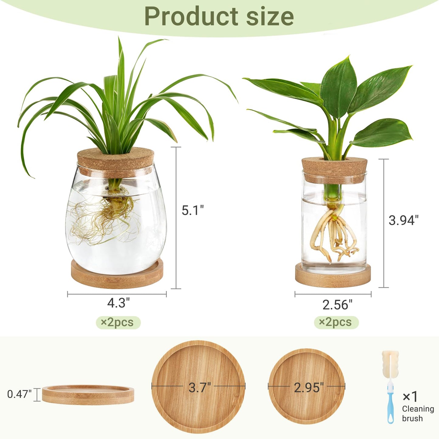 Dahey 4 Pcs Plants Propagation Stations Desktop Propagated Plant Jars Terrarium Glass Planters with Wooden Base and Lid Hydroponic Vase for Indoor Plants Tabletop Home Office Decor
