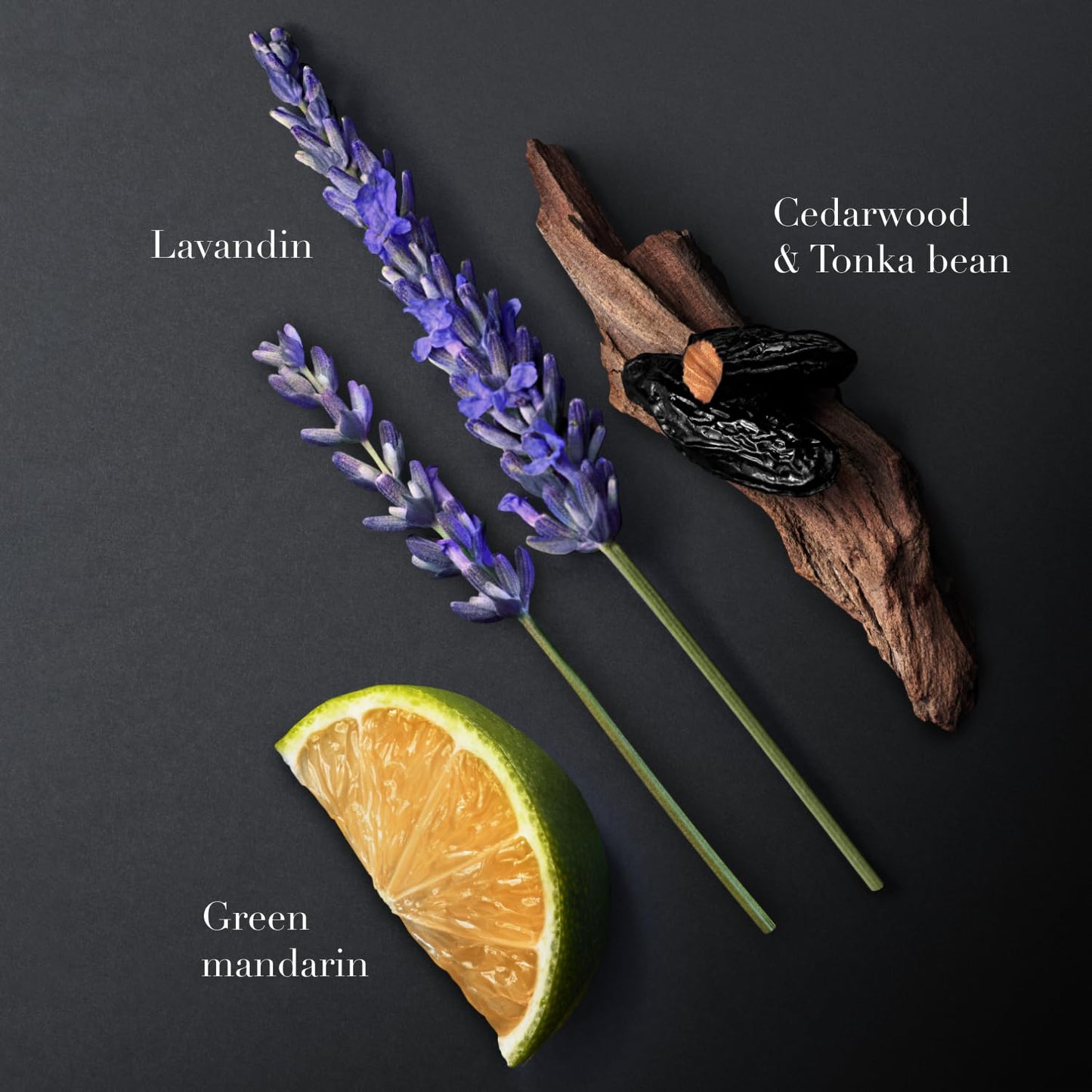 Armani Beauty – Code – Deodorant Stick – Fougère Ambery Spicy Fragrance – Green Mandarin, Nutmeg, Tonka Bean Notes – Men's Essentials - 75 ml