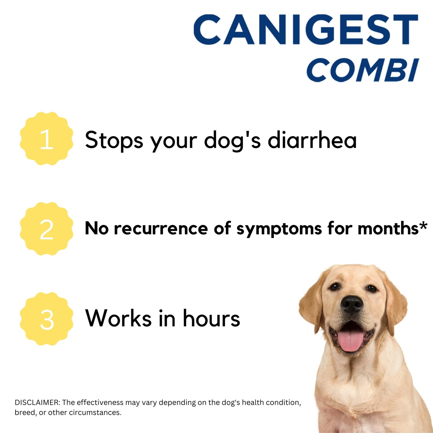 Canigest Combi - Diarrhea Treatment for Dogs | Stop diarrhea in hours | Combination of Pectin + Kaolin + 2 Probiotics + 2 Prebiotics | No Recurrence of Symptoms for Months - 32mL